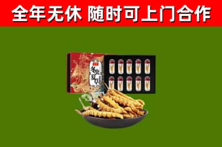 什邡烟酒回收冬虫夏草礼盒.jpg
